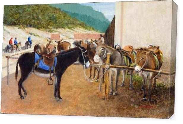 Friendly Donkeys Friendly Donkeys