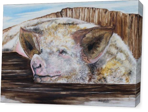 Happiness Is A Mud Puddle Happiness Is A Mud Puddle