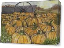 Pumpkin Patch As Canvas