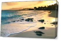 Golden Sunrise On Sapphire Beach St Thomas Virgin Islands Photograph By Roupen Baker As Canvas