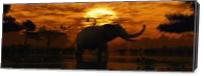 Elephant Sunset As Canvas