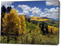 Autumn In New Mexico - Gallery Wrap