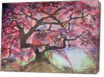Weeping Willow - Gallery Wrap