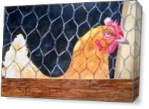 Rosette Chicken As Canvas