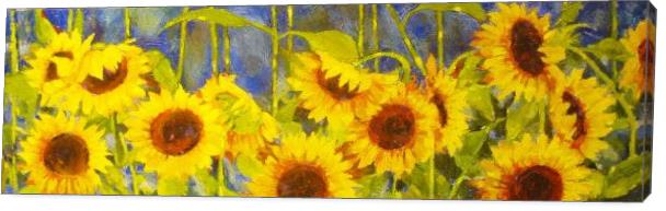 Bolinas Sunflowers