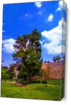 The Wall Of Old Jerusalem - Gallery Wrap Plus
