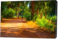 A Photograph Of A Road In Summer Park - Gallery Wrap