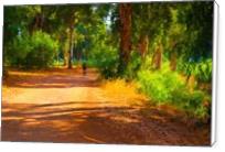 A Photograph Of A Road In Summer Park - Standard Wrap