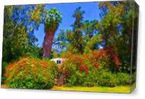 Landscaped Garden As Canvas