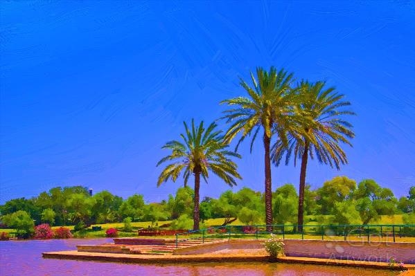 Palm Trees By The Lake