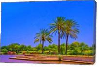 Palm Trees By The Lake - Gallery Wrap