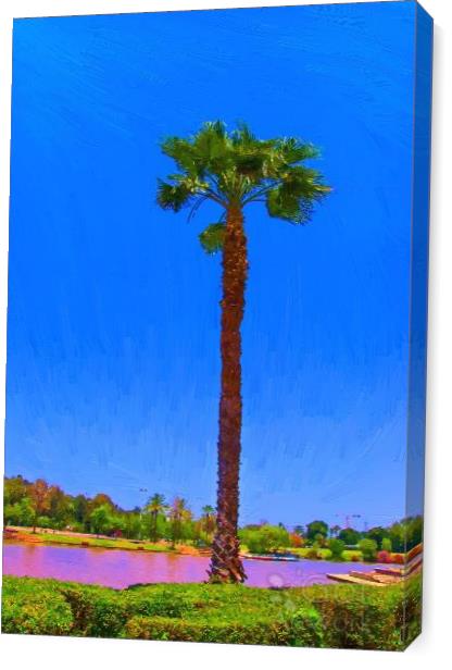 Palm Tree By The Lake