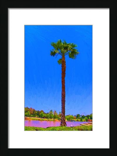 Palm Tree By The Lake