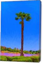 Palm Tree By The Lake - Gallery Wrap