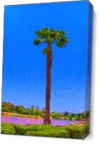 Palm Tree By The Lake As Canvas