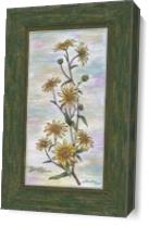 Carolina Wildflower As Canvas