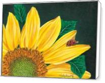 Sunflower - Standard Wrap
