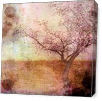 Cherry Blossom Pink - Gallery Wrap