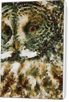 The Glaucus Owl - Standard Wrap