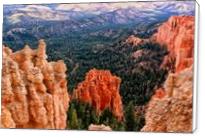 Bryce Canyon - Standard Wrap