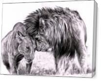Lion_in_love__by_skytteole D4dsk69 - Gallery Wrap