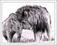 Lion_in_love__by_skytteole D4dsk69 - No-Wrap
