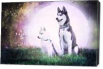 Huskies And The Moon - Gallery Wrap