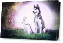 Huskies And The Moon As Canvas