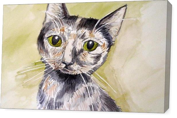 Cat Cat