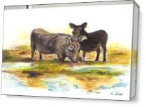 Warthog As Canvas