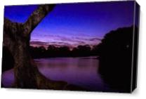 Tree By The Lake - Gallery Wrap Plus