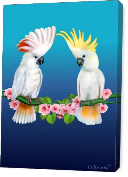 Cockatoo Courtship