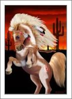 Indian War Pony - No-Wrap