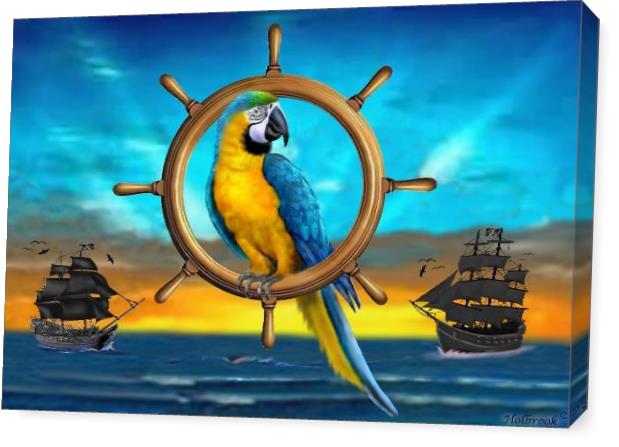 Macaw Pirate Parrot