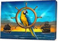 Macaw Pirate Parrot - Gallery Wrap