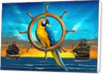 Macaw Pirate Parrot - Standard Wrap