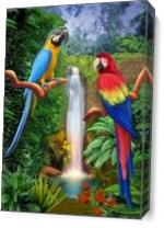 Macaw Tropical Parrots As Canvas