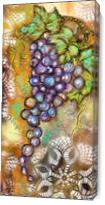 Vinyard Of Grapes - Gallery Wrap