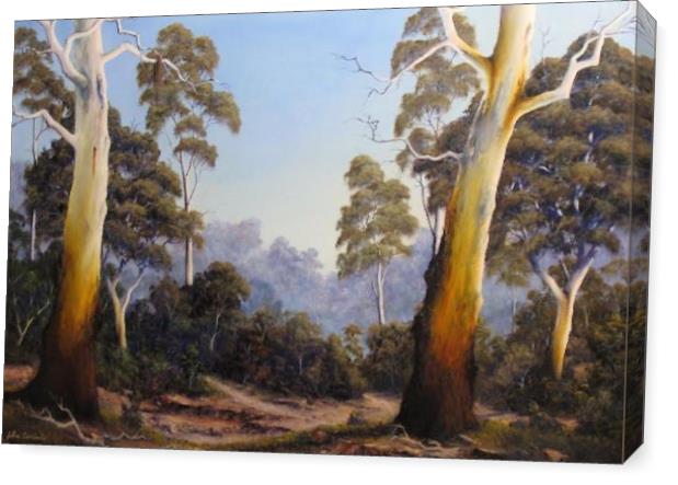 The Scent Of Gumtrees The Scent Of Gumtrees