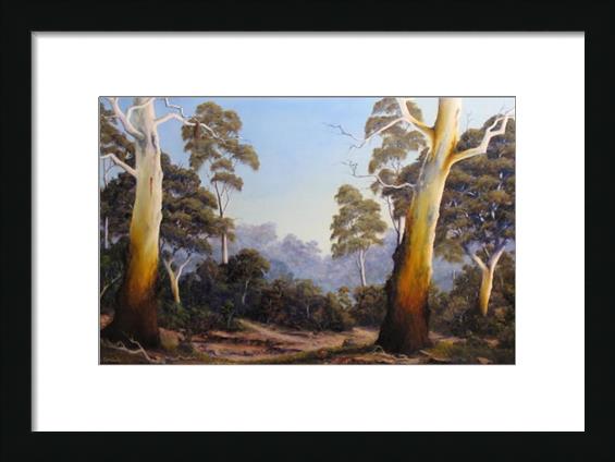 The Scent Of Gumtrees The Scent Of Gumtrees