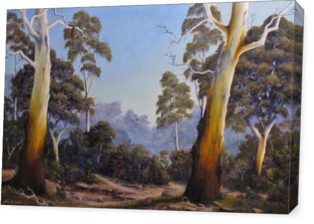 THE SCENT OF GUMTREES 70x60cm 2650 2 Copy THE SCENT OF GUMTREES 70x60cm 2650 2 Copy