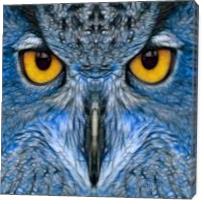 Blue Owl - Gallery Wrap