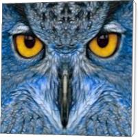 Blue Owl - Standard Wrap