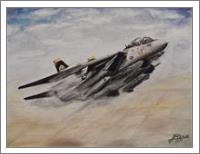 F 14 Tomcat - No-Wrap