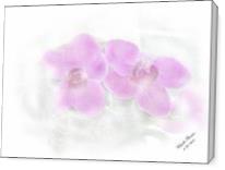 Orchid - Gallery Wrap