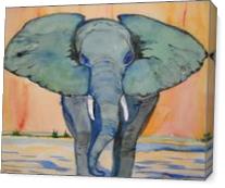 Elephant Walk - Gallery Wrap