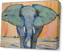 Elephant Walk As Canvas