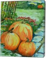 Pumpkins - Gallery Wrap