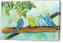 Feathered Friends - Gallery Wrap