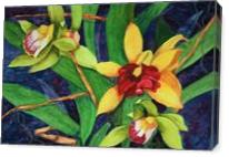 Orchids - Gallery Wrap